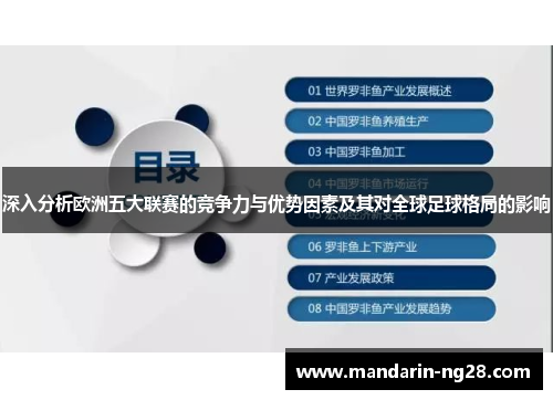 深入分析欧洲五大联赛的竞争力与优势因素及其对全球足球格局的影响 深入分析欧洲五大联赛的竞争力与优势因素及其对全球足球格局的影响